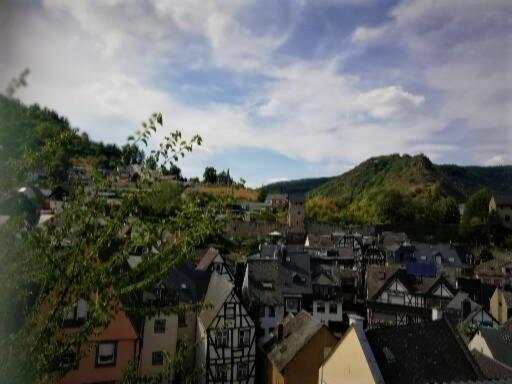 科赫姆 Zum Froehlichen Weinberg酒店 外观 照片